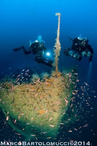 Amici_degli Abissi_ambiente_02